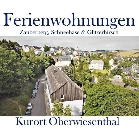 Ferienwohnungen Zauberberg, Schneehase & Glitzerhirsch Oberwiesenthal Exteriör bild
