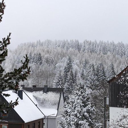 Ferienwohnungen Zauberberg, Schneehase & Glitzerhirsch Oberwiesenthal Exteriör bild