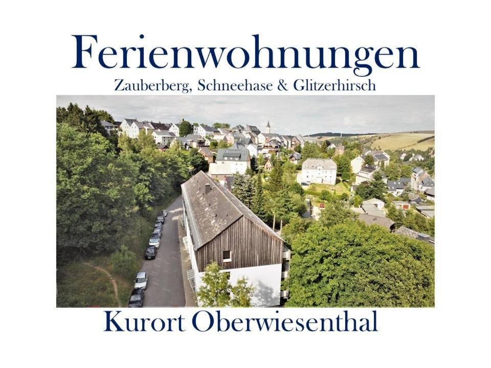 Ferienwohnungen Zauberberg, Schneehase & Glitzerhirsch Oberwiesenthal Exteriör bild